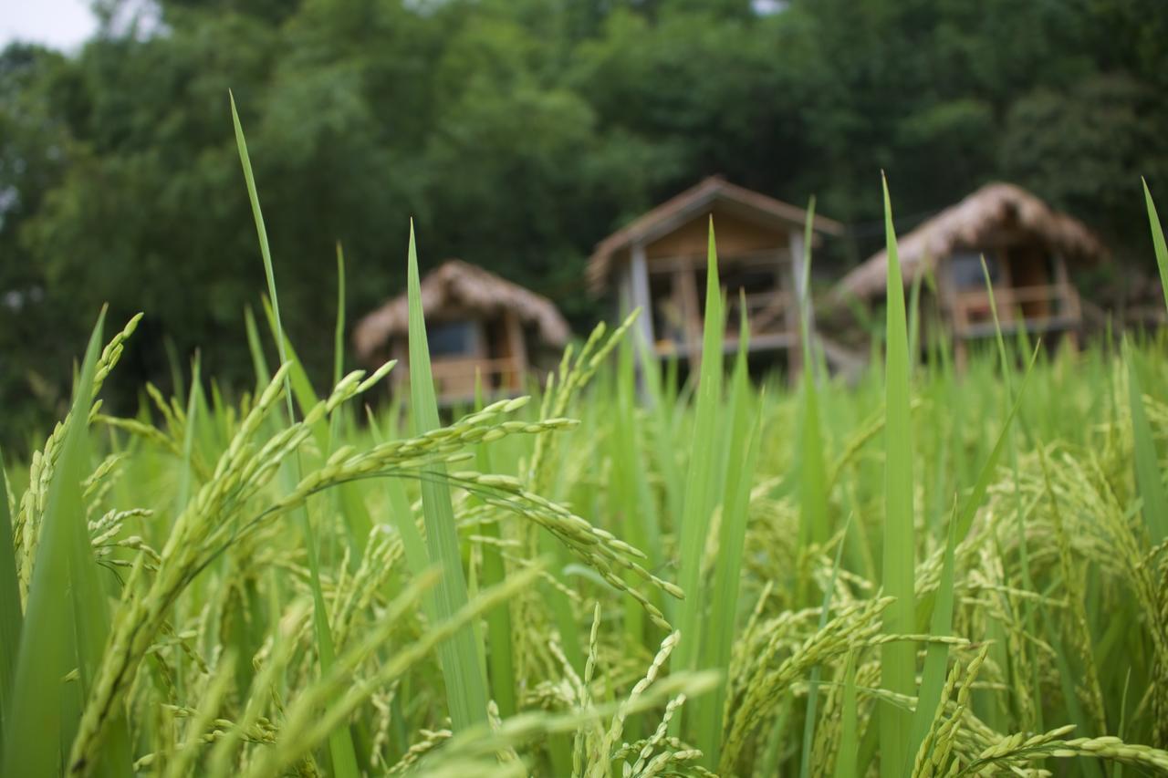 Little Mai Chau Home Stay エクステリア 写真