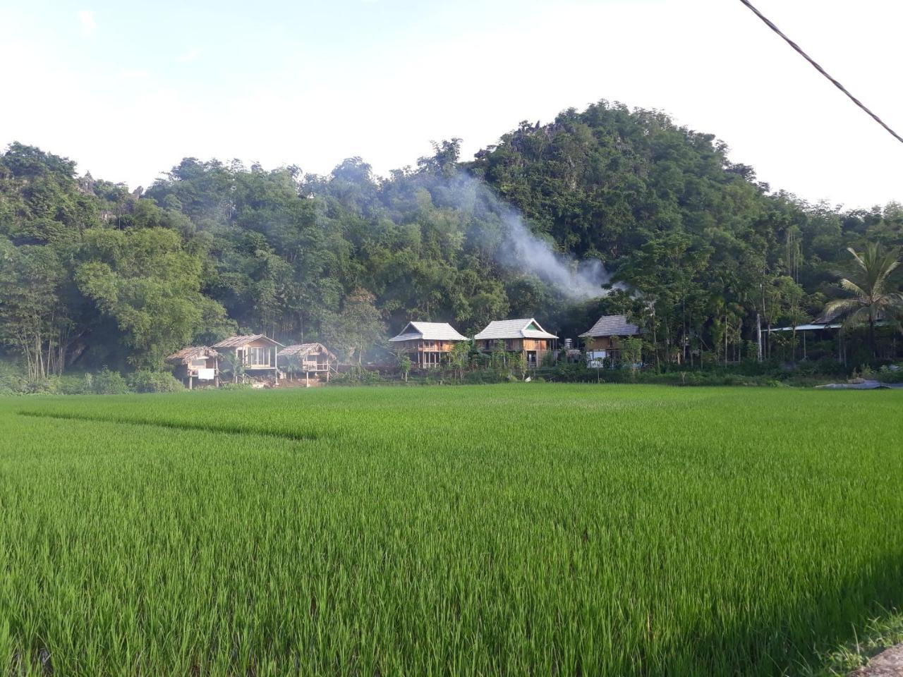 Little Mai Chau Home Stay エクステリア 写真