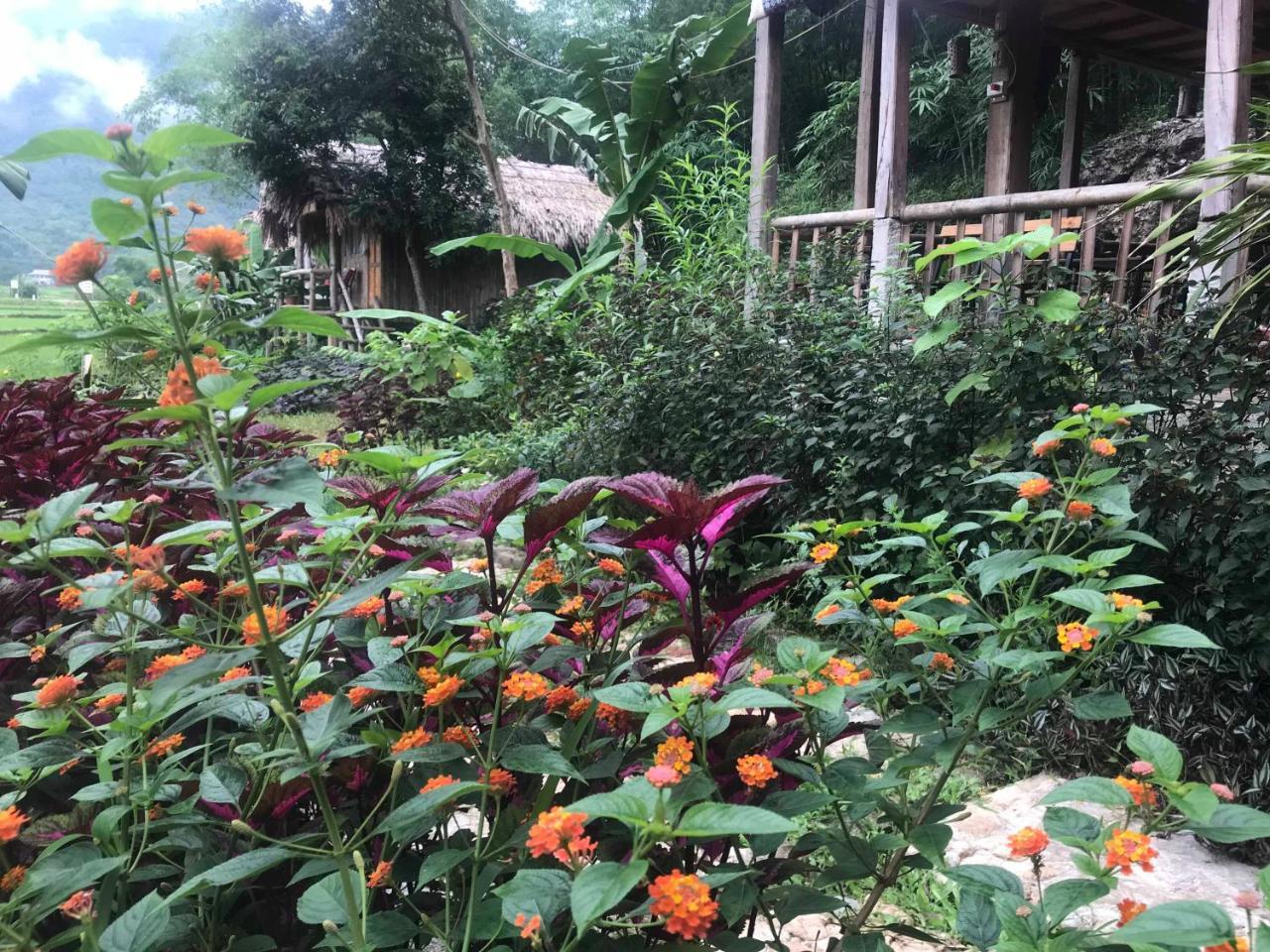 Little Mai Chau Home Stay エクステリア 写真