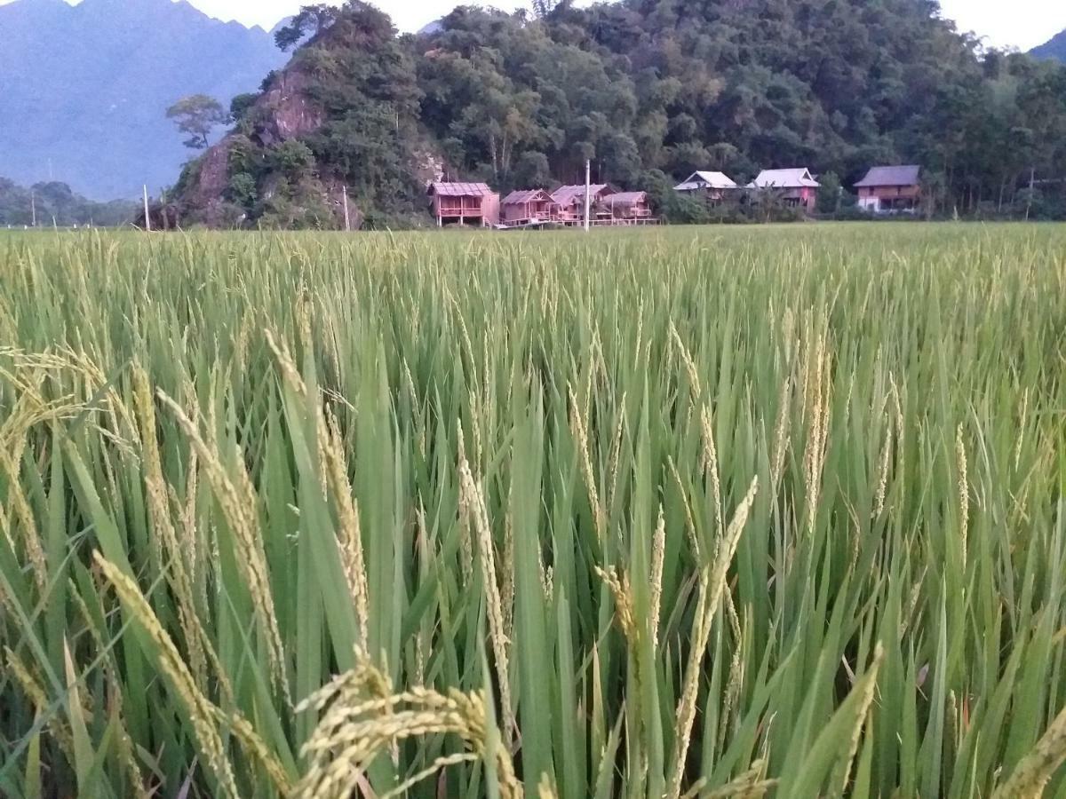 Little Mai Chau Home Stay エクステリア 写真